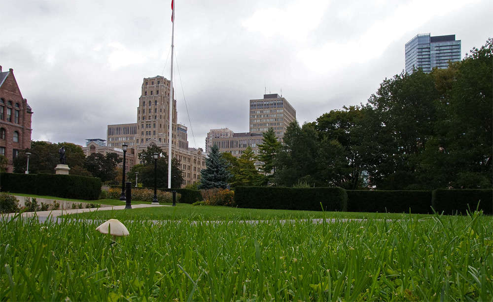 ���� � ��������������� ��������� ����� �������  �� PhotoGeek.ru #�����