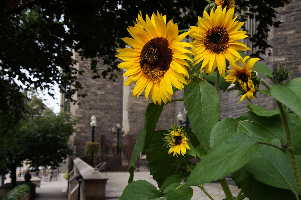 � ������ ������ ����� �������  �� PhotoGeek.ru #�����