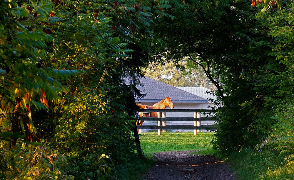 ���, ��� ������, �� ������ ��� ��� ���� ����� �������  �� PhotoGeek.ru #�������� ���