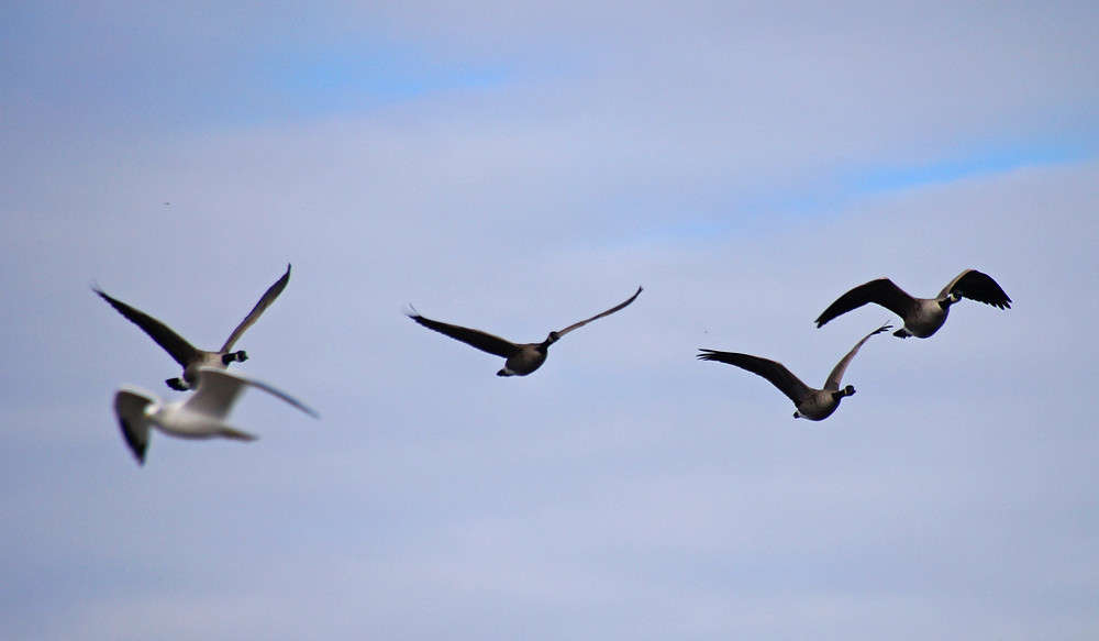 ����� � ������ ����� �������  �� PhotoGeek.ru #�������� ���