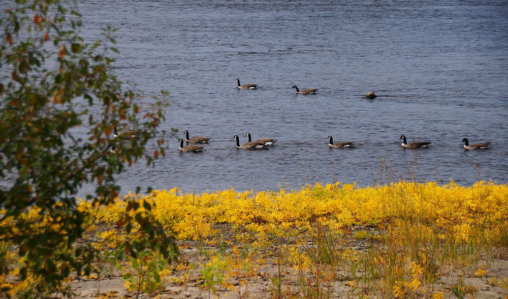 ����� �������� ����� �������  �� PhotoGeek.ru #�������� ���