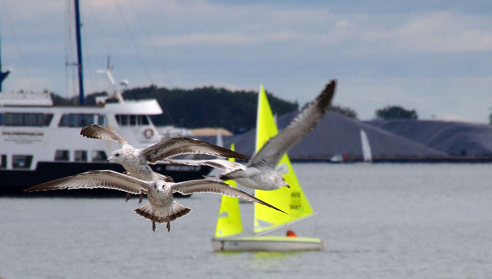 �� ��� ������� ����� �������  �� PhotoGeek.ru #�������� ���