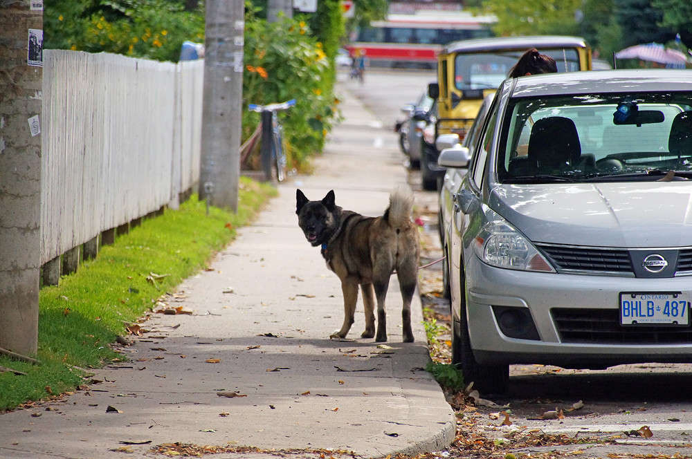 ������� ������ ����� �������  �� PhotoGeek.ru #�����