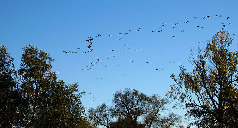 ������ ���� ������� ����� �������  �� PhotoGeek.ru #�������� ��� #������ ��� �������