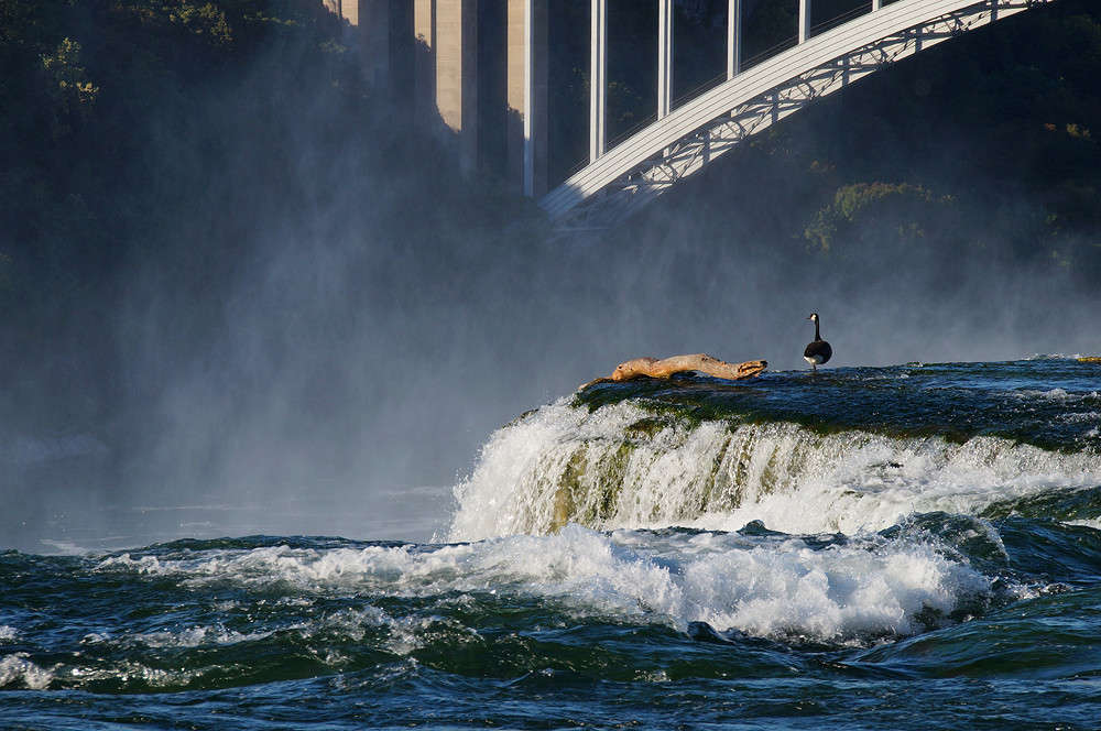 ��� �� ���� ����� ����� �������  �� PhotoGeek.ru #�������� ��� #������ ��� �������