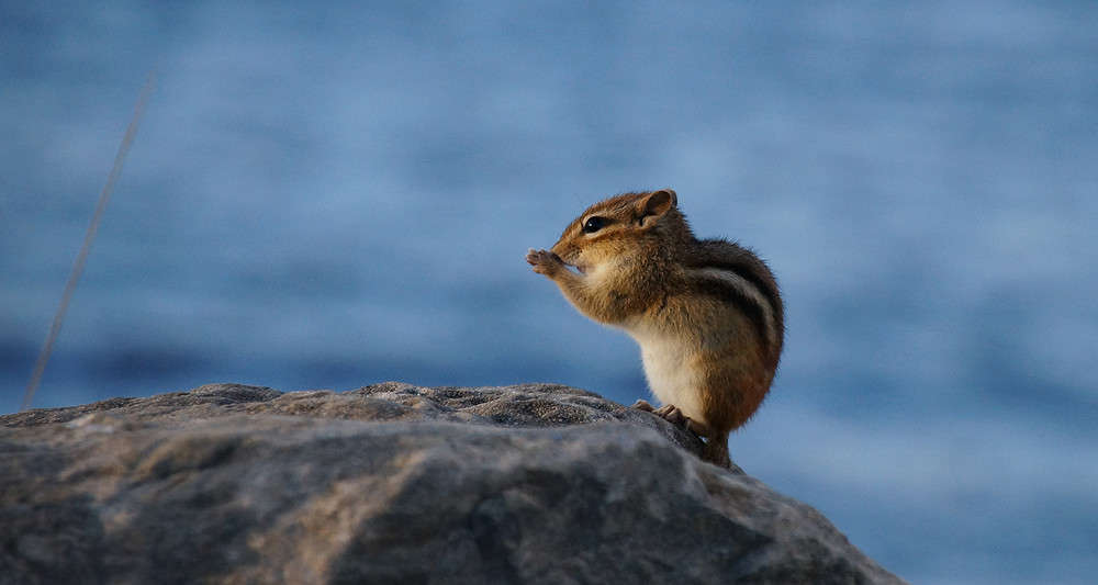 ����� ������� ��� ����� �������  �� PhotoGeek.ru #�������� ���