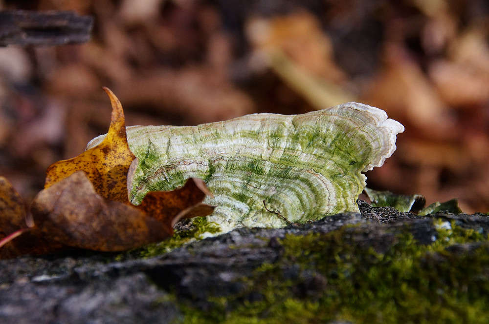 ����������� ����� ����� �������  �� PhotoGeek.ru #������ ��� �������