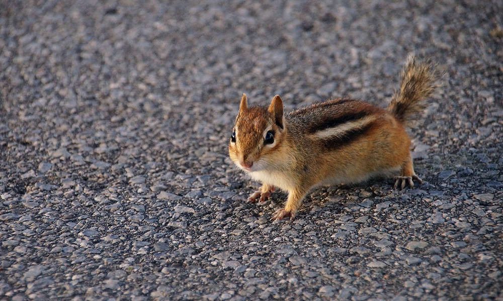 ���������� �� ������� ������� ����� �������  �� PhotoGeek.ru #�������� ���