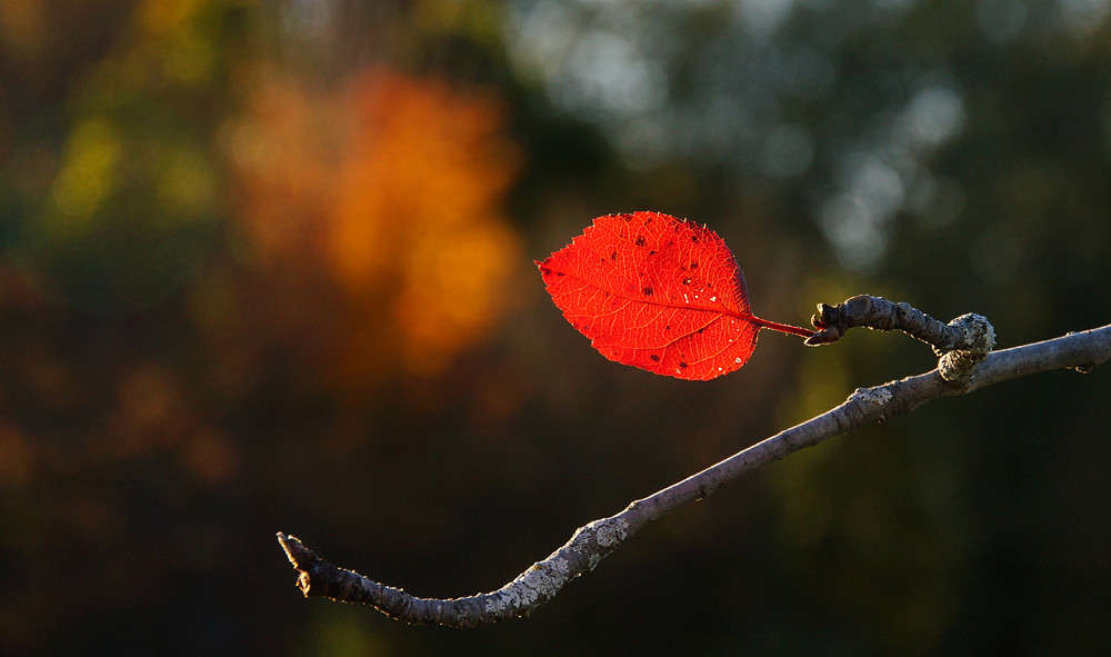 ������� ����� ����� �������  �� PhotoGeek.ru #������ ��� �������