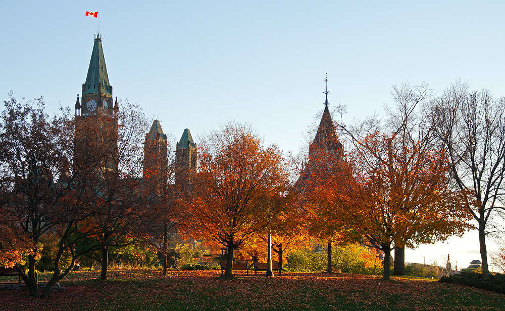 ��� ��� ������ ����� �������  �� PhotoGeek.ru #�����