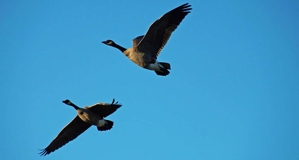 �������� �� ������� ����� �������  �� PhotoGeek.ru #�������� ���