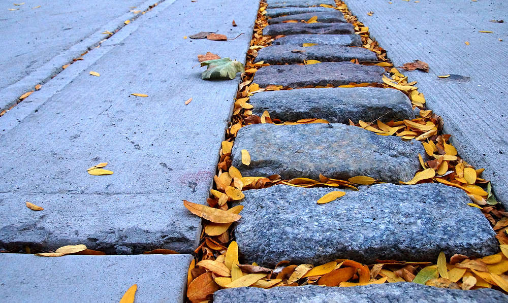 ��������� ����� �������  �� PhotoGeek.ru #�����