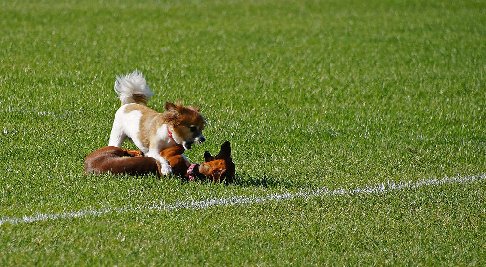 � ����� ��������! ����� �������  �� PhotoGeek.ru #�������� ���