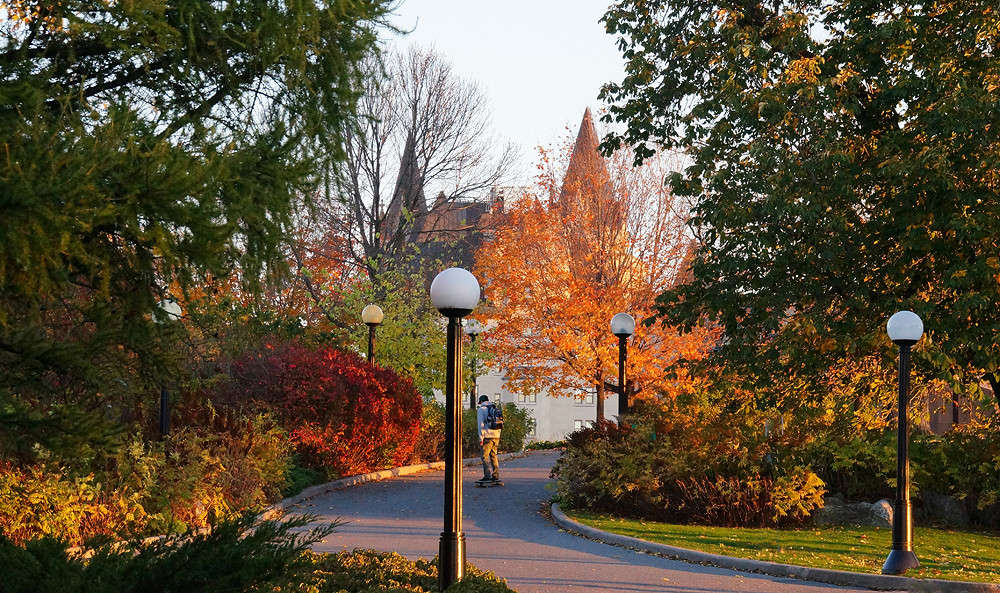 ����� �� ������� ����� �������  �� PhotoGeek.ru #�����