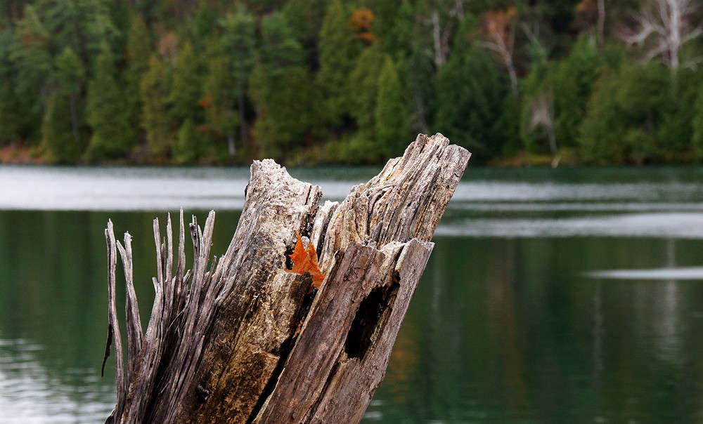 ������� ����� ����� �������  �� PhotoGeek.ru #������ ��� �������