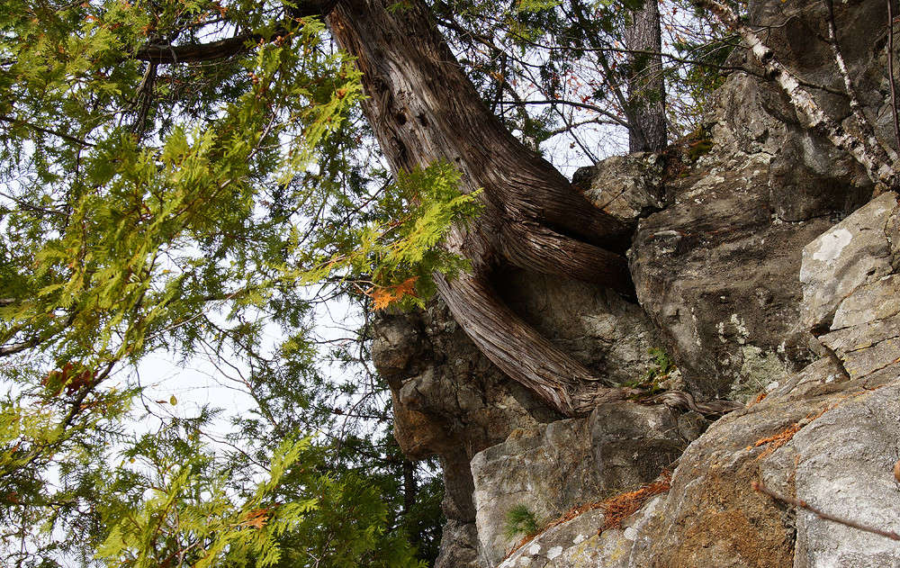 ��� � ������ ����� �������  �� PhotoGeek.ru #������ ��� �������