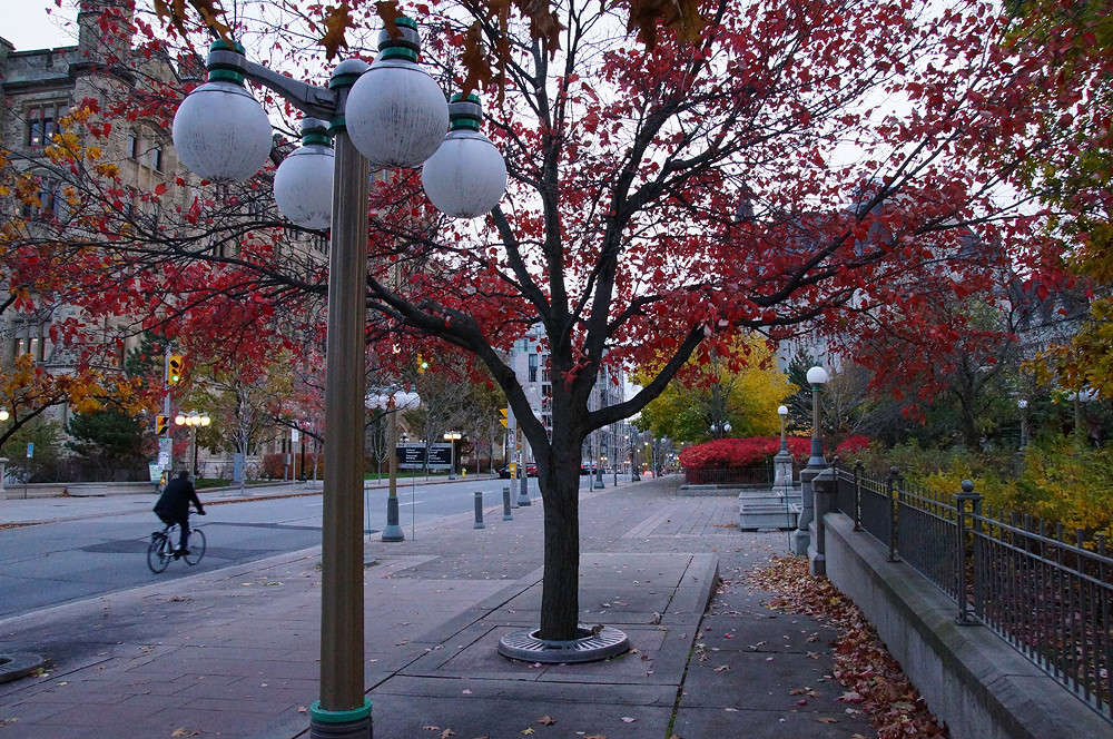 MacKenzie Avenue, Downtown ����� �������  �� PhotoGeek.ru #�����