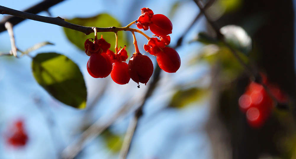 ��� ��� ����� ����� �������  �� PhotoGeek.ru #������ ��� �������