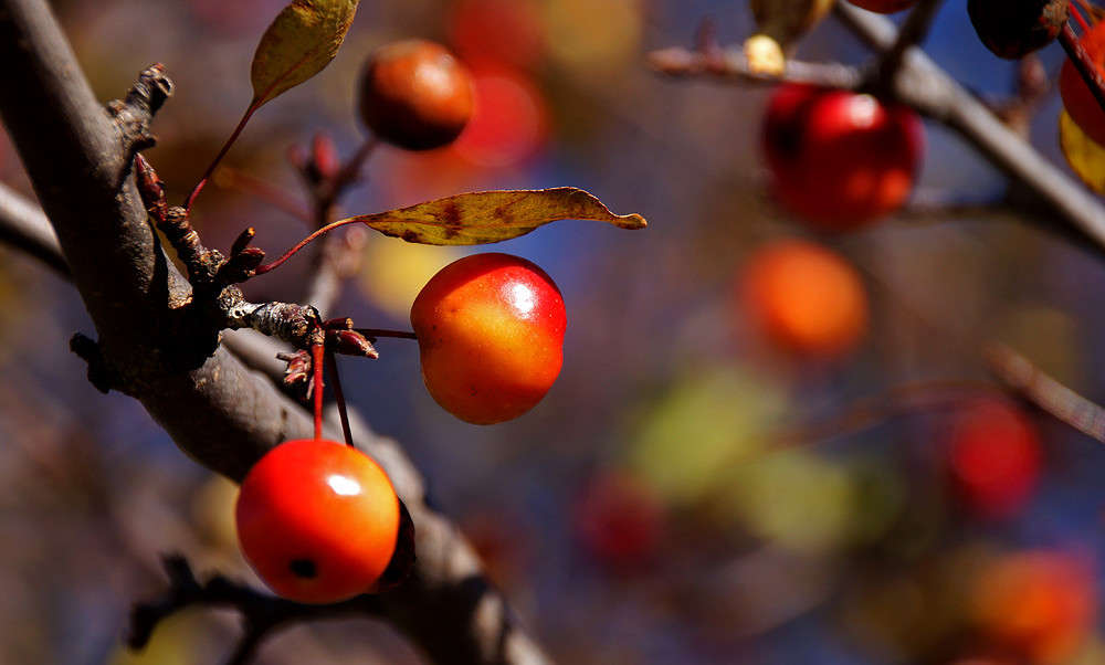 ��, ������� ������� ����� �������  �� PhotoGeek.ru #������ ��� �������