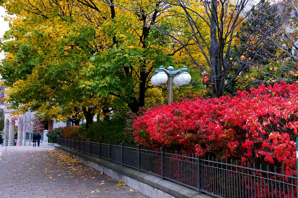 ������� ����� ����� �������  �� PhotoGeek.ru #�����