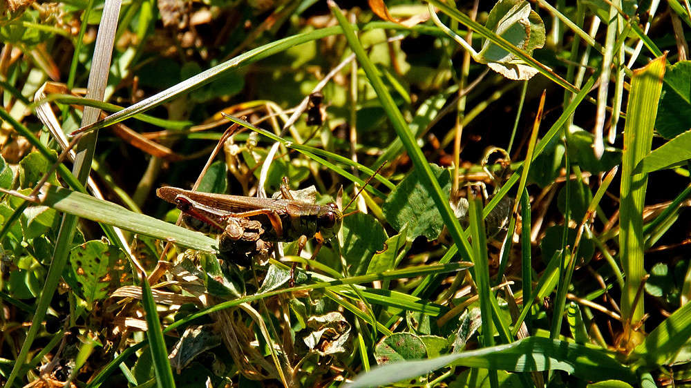 �� � � ������ ������� ����� �������  �� PhotoGeek.ru #�������� ���