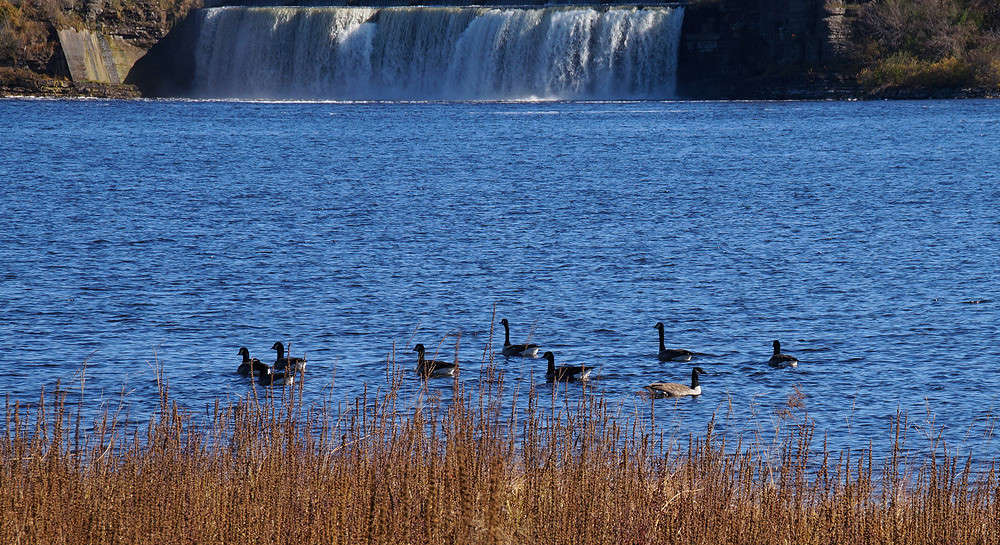 ���� ������ � ������ ����� �������  �� PhotoGeek.ru #�����