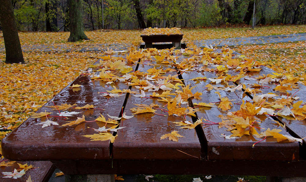 ����� ������� ����� �������  �� PhotoGeek.ru #������ ��� �������