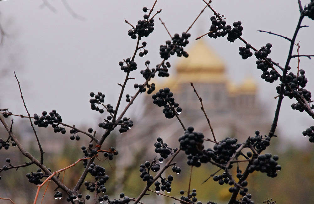 ������ ���������� � ������ ����� �������  �� PhotoGeek.ru #�����