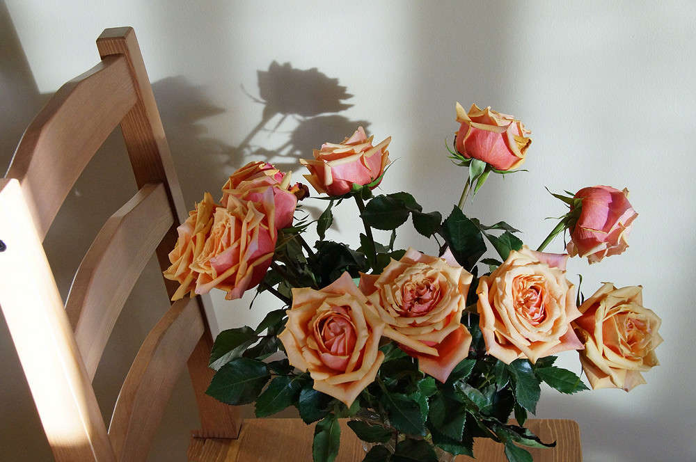 �������� ����� �������  �� PhotoGeek.ru #������ ��� �������
