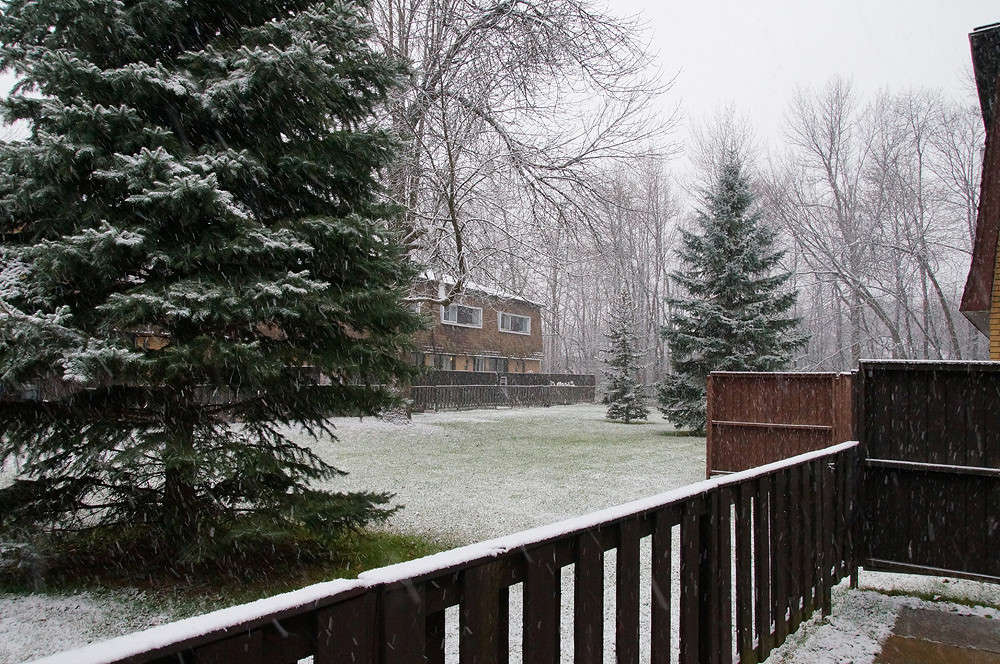 � �� ������ ����... ����� �������  �� PhotoGeek.ru #�����