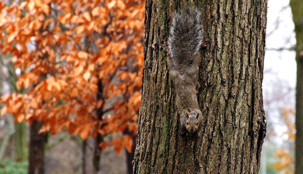 ������ ����� ����� �������  �� PhotoGeek.ru #�������� ���