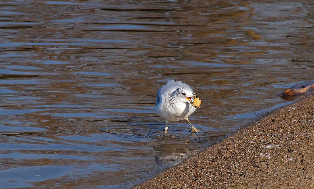 � ����� ��� �� �����... ����� �������  �� PhotoGeek.ru #�������� ���