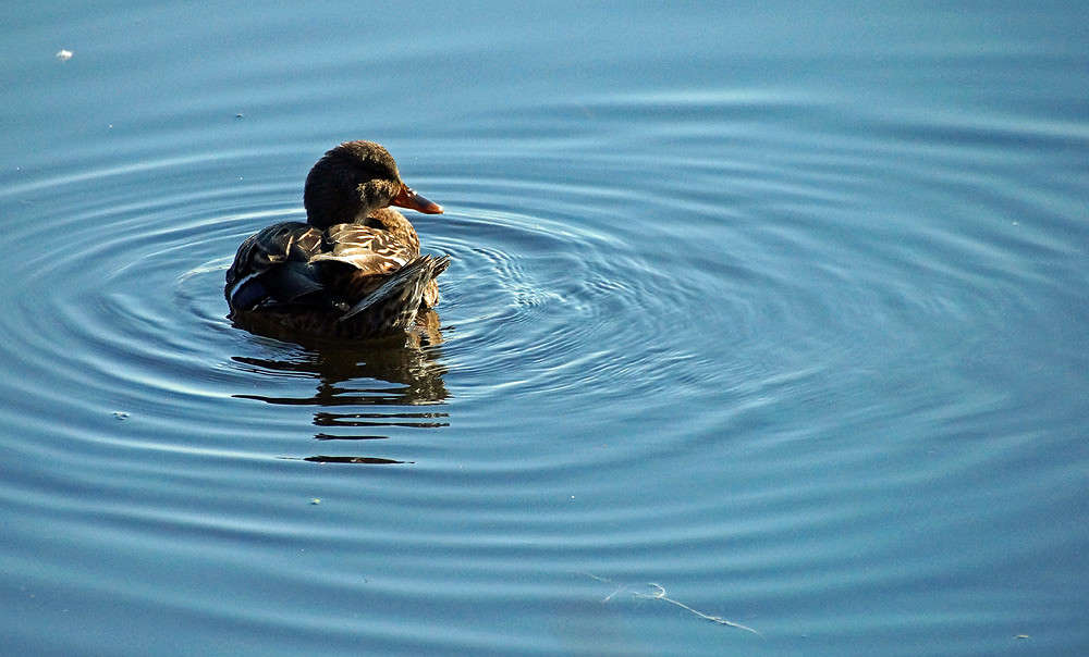 �������� ����� �������  �� PhotoGeek.ru #�������� ���