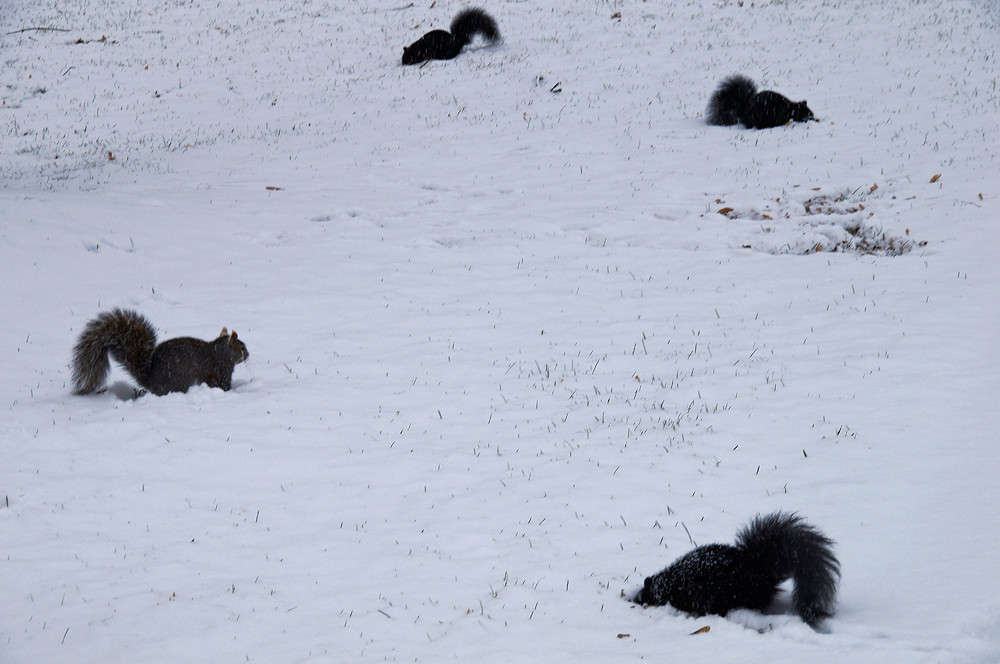 ������� ����� �������  �� PhotoGeek.ru #����� #�������� ���