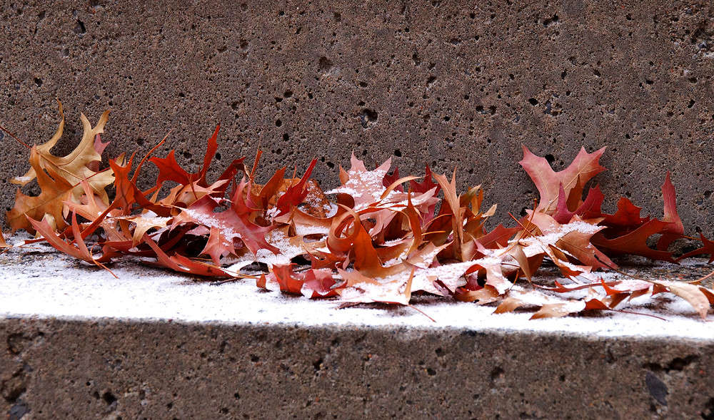 ������������ � ����� ����� �������  �� PhotoGeek.ru #�����