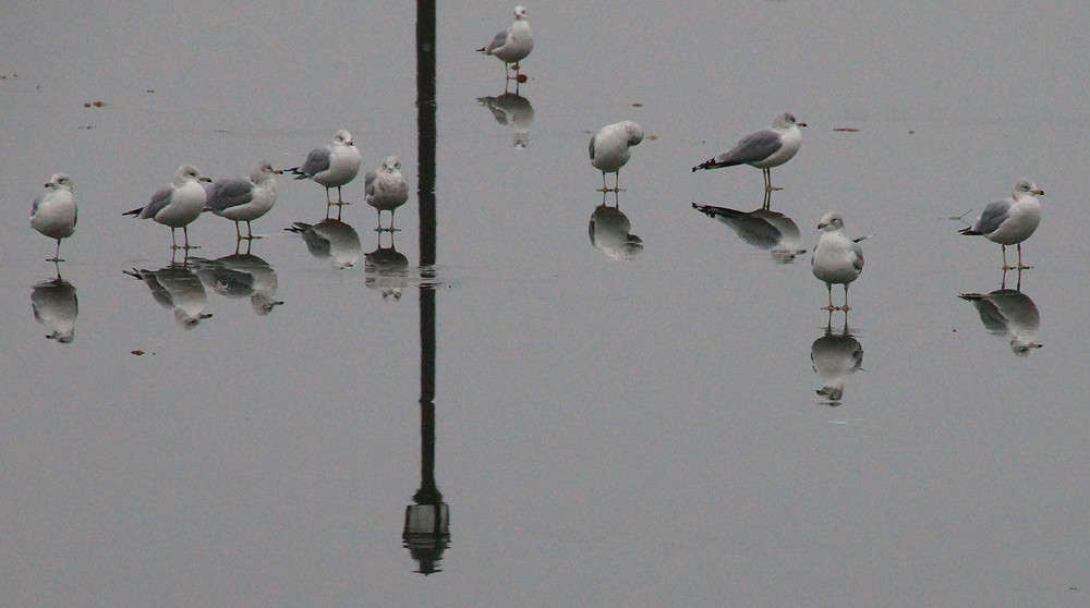 ���������� �� ��������� ����� �������  �� PhotoGeek.ru #�������� ���