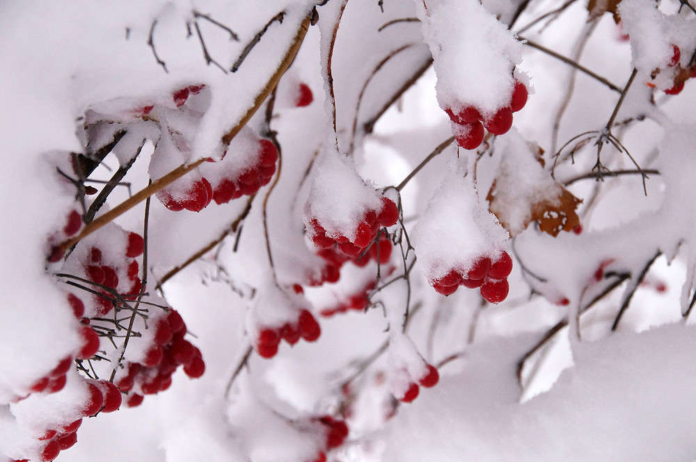 ���������� ����� ����� �������  �� PhotoGeek.ru #������ ��� �������
