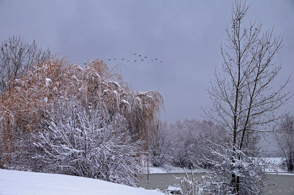 �� ������������ ���� ����� �������  �� PhotoGeek.ru #������ ��� �������