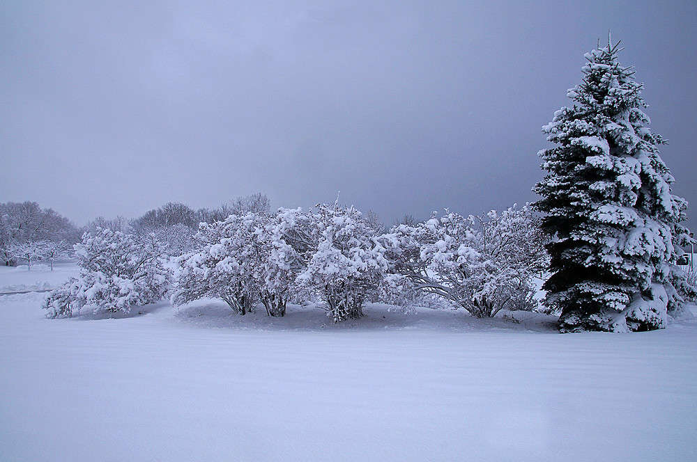 ������� ������ ����� ����� �������  �� PhotoGeek.ru #������ ��� �������