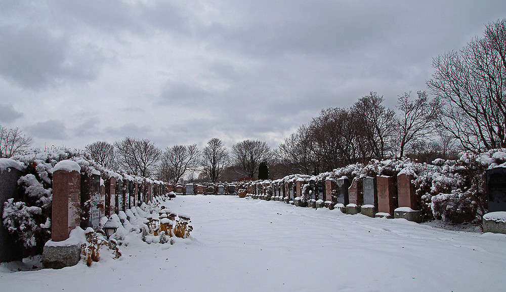 �������� ����������� ���� ����� �������  �� PhotoGeek.ru #�����