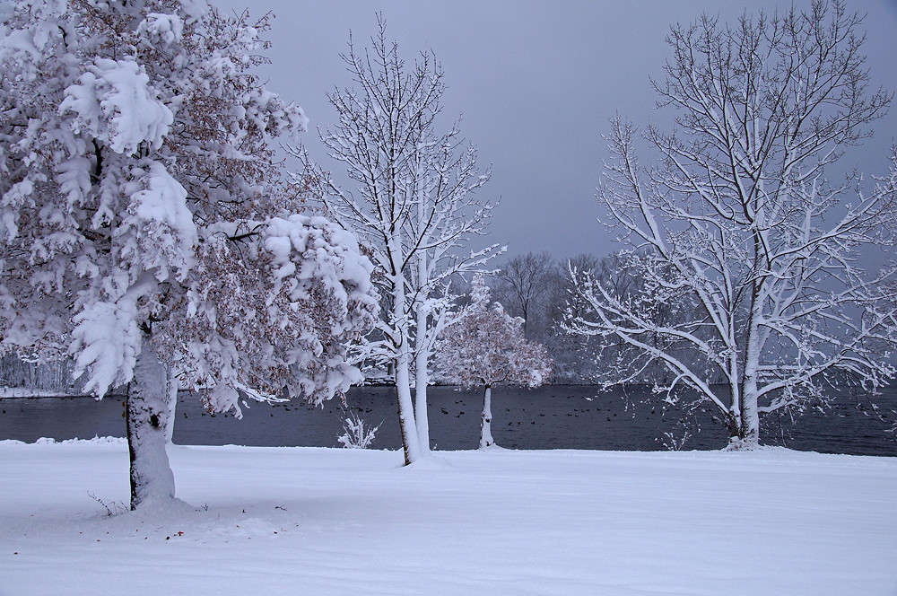 � ���������� ������� ����� �������  �� PhotoGeek.ru #������ ��� �������