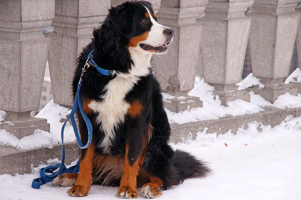 �������� - ������� ����� �������  �� PhotoGeek.ru #����� #�������� ���