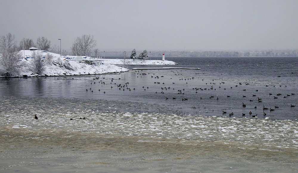 �������� �� ��������� ����� �������  �� PhotoGeek.ru #�������� ���