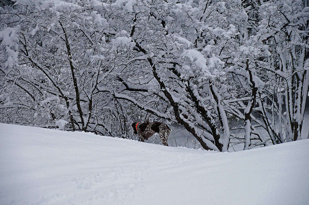 � ������ ����� �������  �� PhotoGeek.ru #������ ��� �������