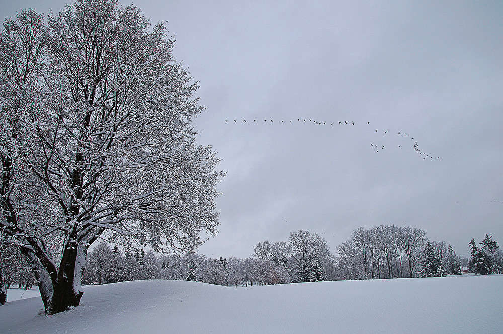��������� ������� ����� �������  �� PhotoGeek.ru #������ ��� �������