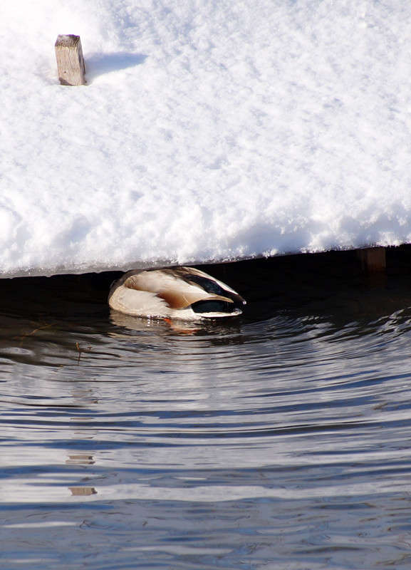 ������������ ����� �������  �� PhotoGeek.ru #�������� ���