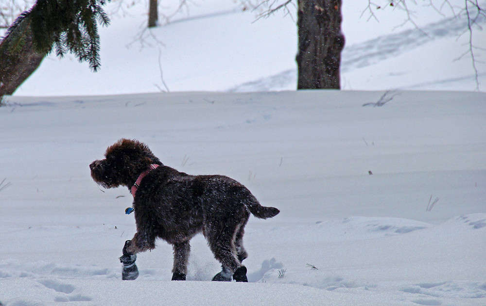 ��� ����� ����� �������  �� PhotoGeek.ru #�������� ���