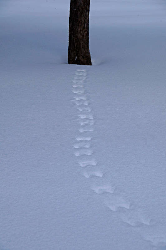 �������� ����� �������  �� PhotoGeek.ru #������ ��� �������