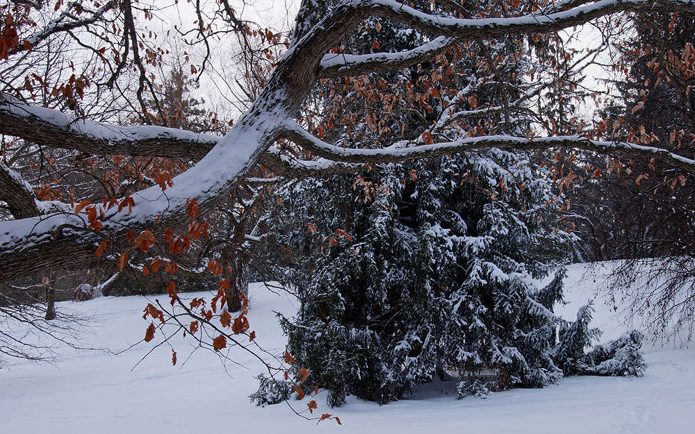 ����������� ������� ����� �������  �� PhotoGeek.ru #������ ��� �������