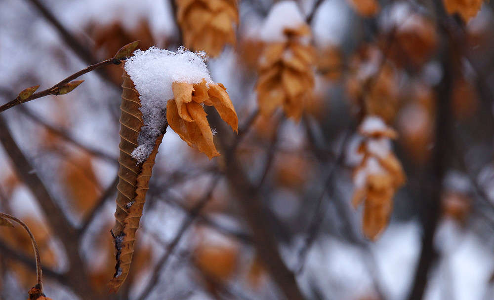 ���������� �� �������? ����� �������  �� PhotoGeek.ru #������ ��� �������